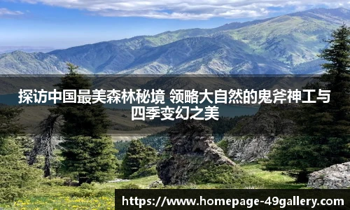探访中国最美森林秘境 领略大自然的鬼斧神工与四季变幻之美