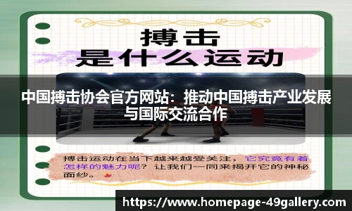 中国搏击协会官方网站：推动中国搏击产业发展与国际交流合作